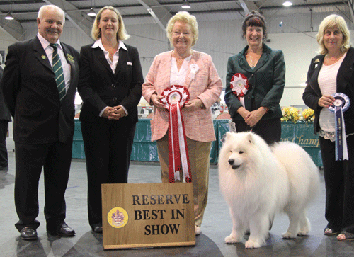 Paignton 2014 Reserve Best In Show