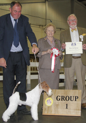 Paignton 2014 Terrier Group 1