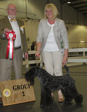 Paignton 2014 Terrier Group 2