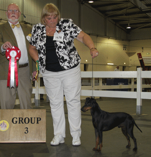 Paignton 2014 Terrier Group 3