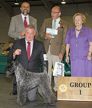 Paignton 2015 Terrier Group 1