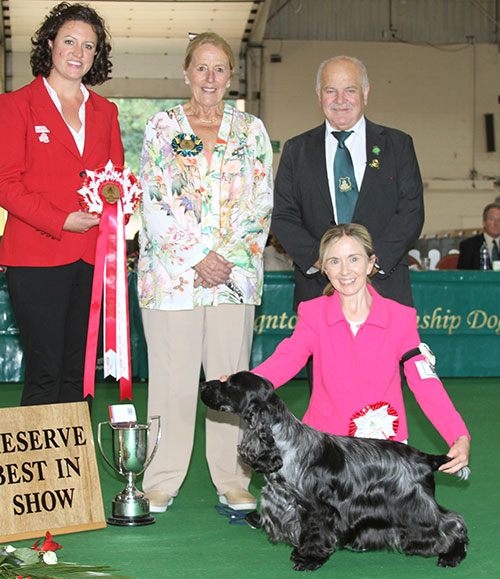 Paignton 2018 Reserve Best In Show