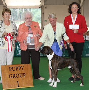 Paigton 2018 Working Puppy Group Winner