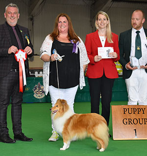 Paignton 2019 Pastoral Puppy Group Winner