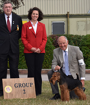 Paignton 2019 Terrier Group 2