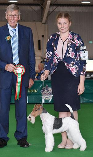 Paignton 2019 Terrier Special Beginner Group Winner