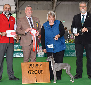 Paignton 2019 Toy Puppy Group Winner