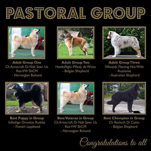 2020 Pastoral Groups Winners
