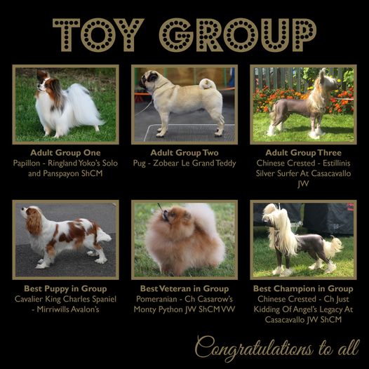 2020 Toy Groups Winners