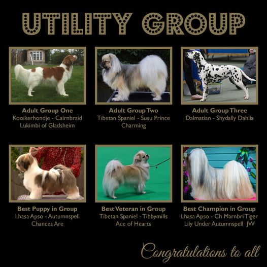 2020 Utility Groups Winners