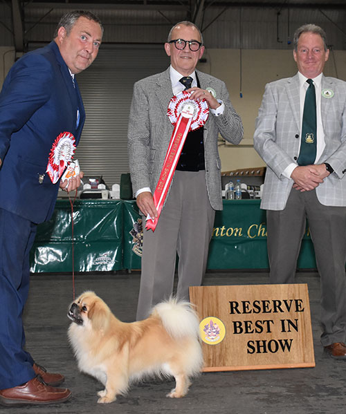 Paignton 2021 Reserve Best In Show