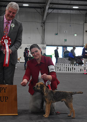 Paignton 2023 Terrier Puppy Group Winnner