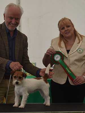 Paignton 2023 Terrier Special Beginner Group Winner